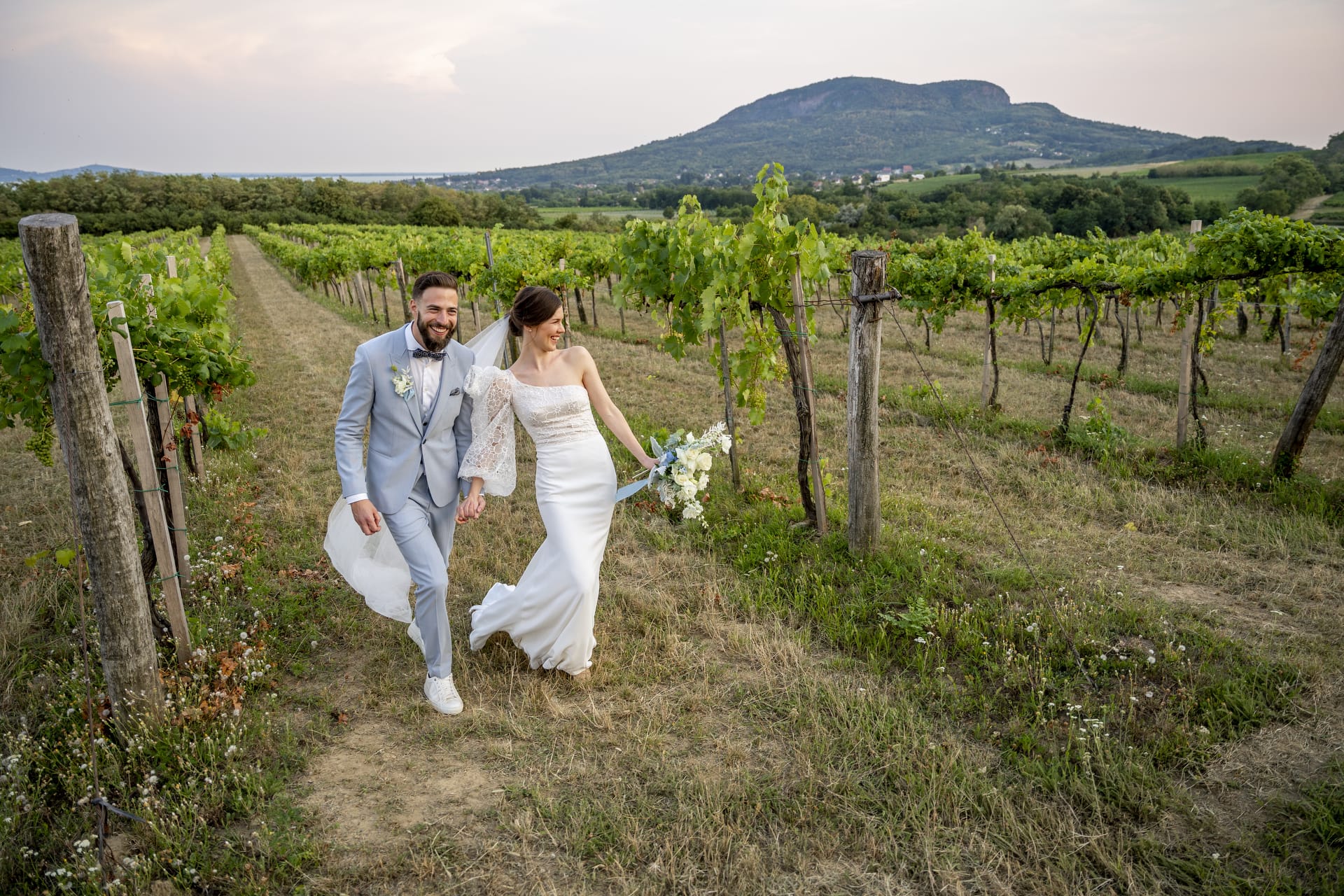 Friss házaspár boldogan sétál az esküvőjük napján a kreatív fotózás közben a szőlőben Badacsony mellett a Balaton északi partján.
