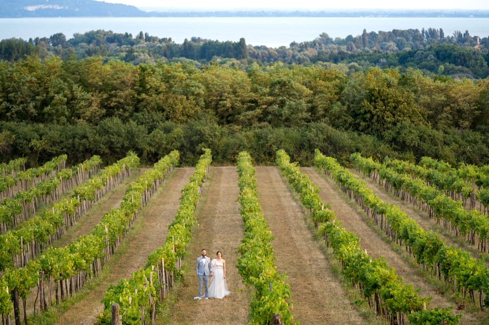 Friss házaspár kreatív fotózás közben a szőlősorok között Badacsony mellett a Balatonnál.